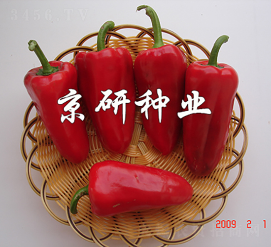 ��(gu��)��111-�����N��-���зN�I(y��)