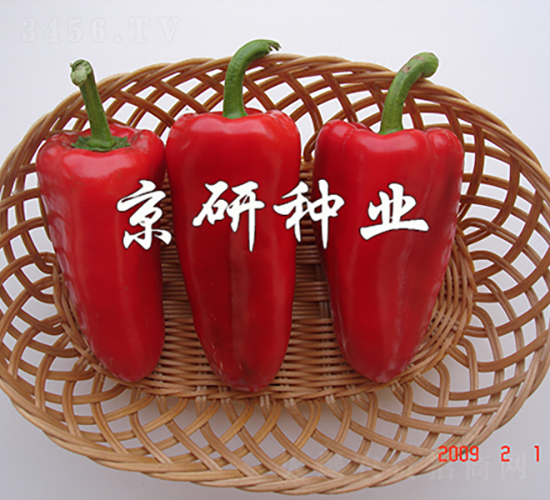 �t��-�����N��-���зN�I(y��)