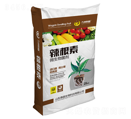 ������΢�������-��̩����