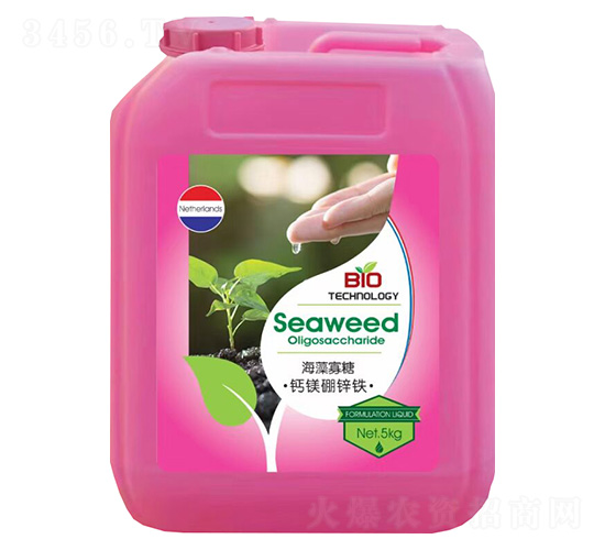 ������ǡ��}�V���\�F-���_��