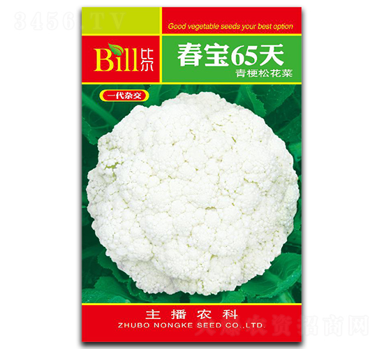 ����65��-��Ҭ�˷N��-�Ƞ�