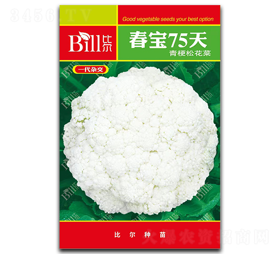 ����75��-��Ҭ�˷N��-�Ƞ�