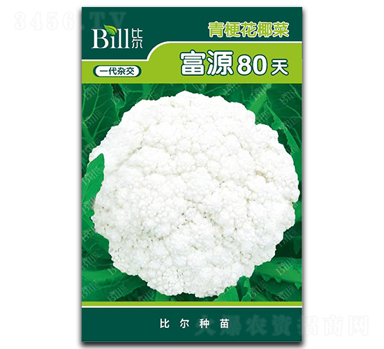 ��Դ80��-��Ҭ�˷N��-�Ƞ�