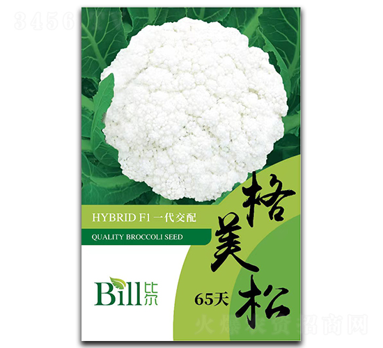 ������65��-��Ҭ�˷N��-�Ƞ�