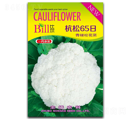 ����65��-��Ҭ�˷N��-�Ƞ�