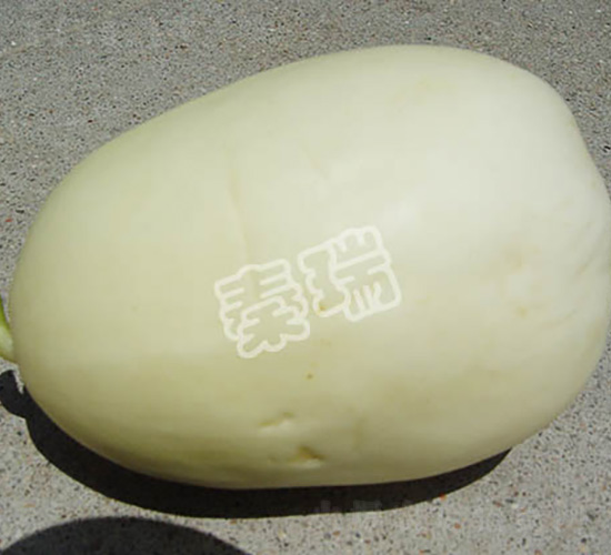 ����һ̖(h��o)-��ϷN��-����