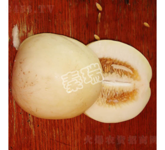 ѩ��һ̖-��ϷN��-����