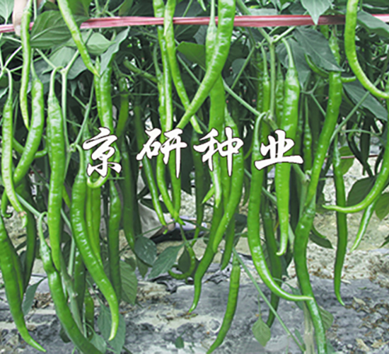 ��(gu��)��412-�����N��-���зN�I(y��)