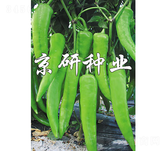 �ٺ�740-�����N��-���зN�I(y��)