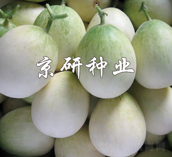 ����2008-��ϷN��-���зN�I(y��)