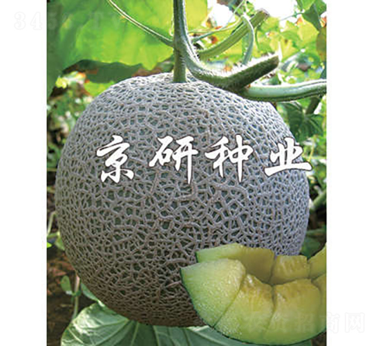 ����5̖-��ϷN��-���зN�I(y��)