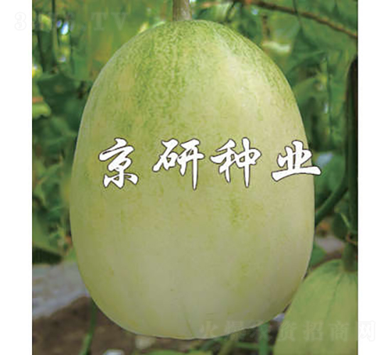 ����10̖-��ϷN��-���зN�I(y��)