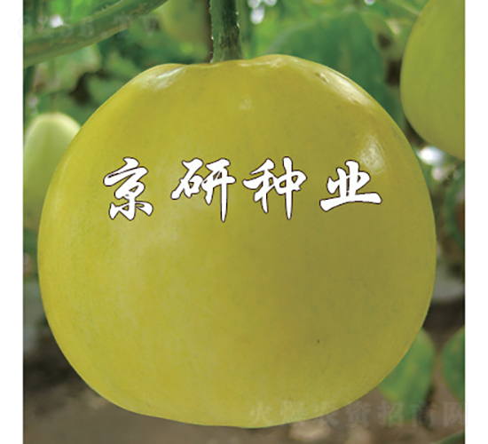 ����415-��ϷN��-���зN�I(y��)