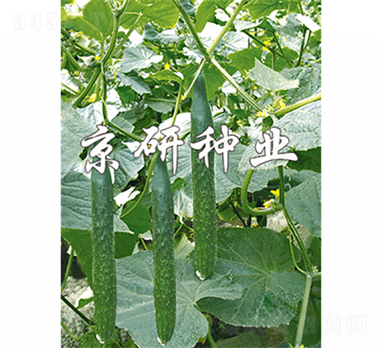 ����402-�S�ϷN��-���зN�I(y��)