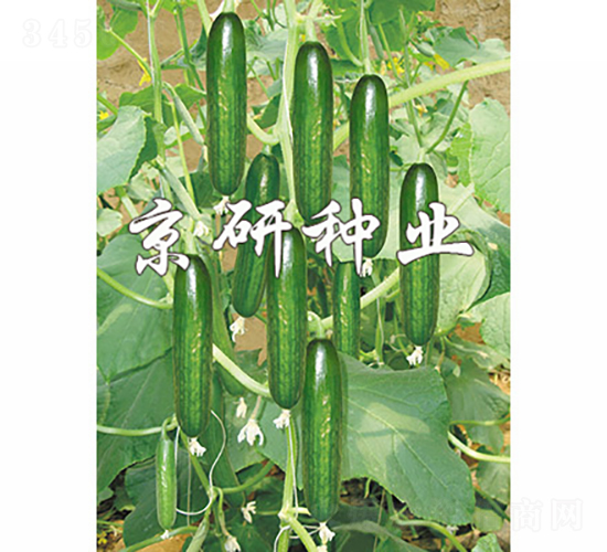 ��������4̖(h��o)-�S�ϷN��-���зN�I(y��)