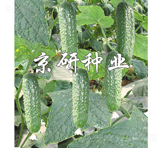 ������n��90-�S�ϷN��-���зN�I(y��)