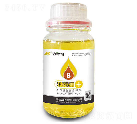 �Ǵ���-��������