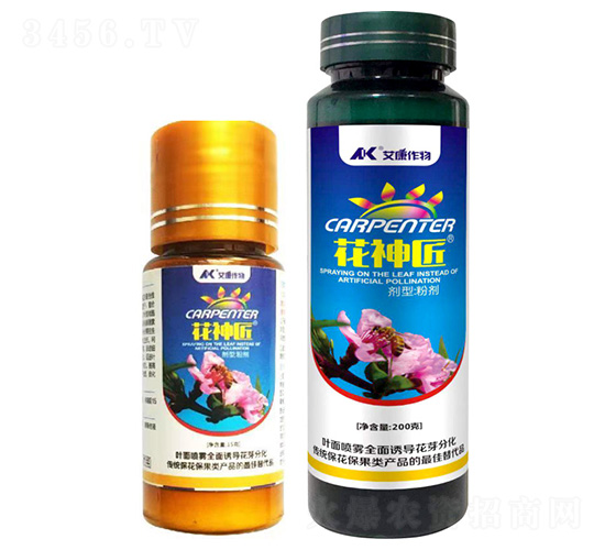 ����-��������