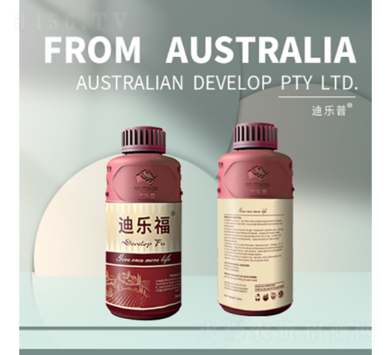 �A���{(di��o)��(ji��)��-�Ϙ���-�Ϙ���