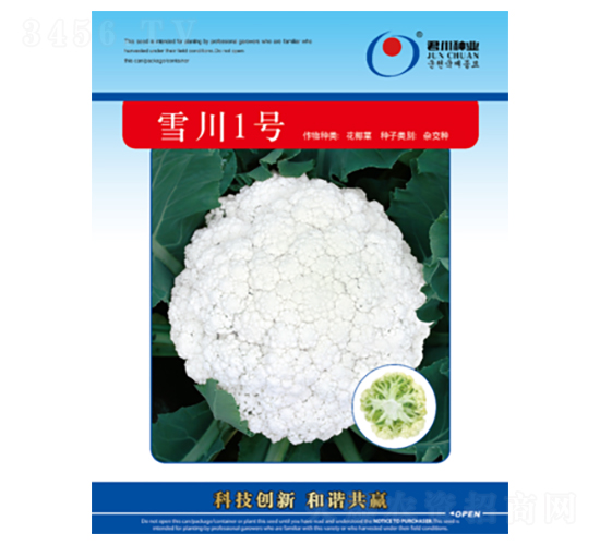 ѩ��1̖(h��o)-�ɻ��˷N��-�����N�I(y��)