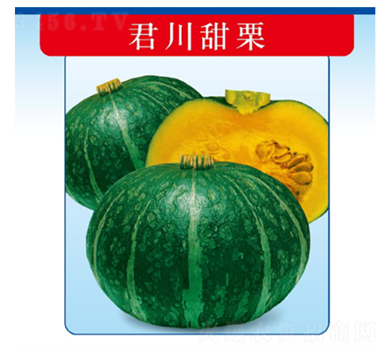 ��������-�ϹϷN��-�����N�I(y��)