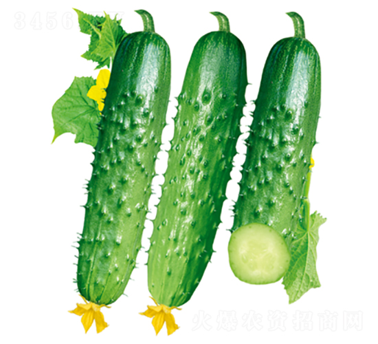 ����(y��u)101-�S�ϷN��-�����N�I(y��)