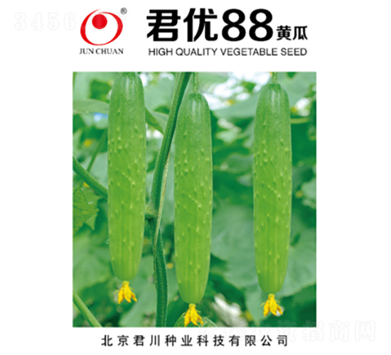 ����(y��u)88-�S�ϷN��-�����N�I(y��)