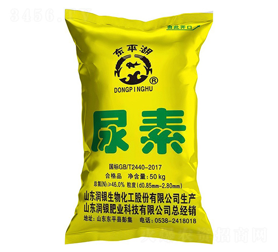 ����-�|ƽ��-��(r��n)�y����