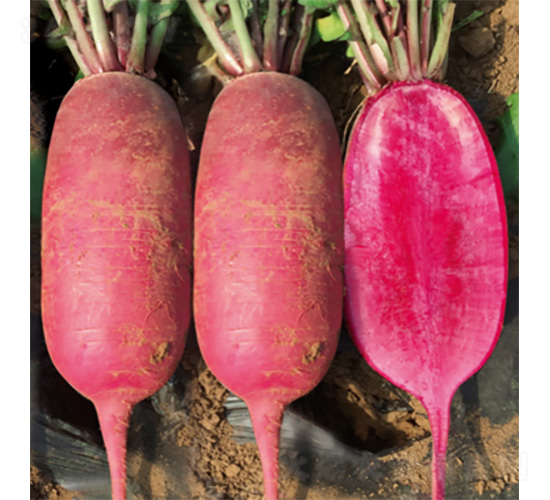 ����ϣ��18-�}���N��-�����N�I(y��)