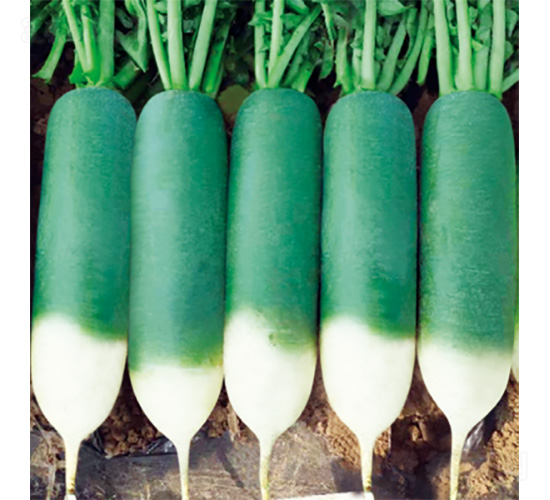 �������_-�}���N��-�����N�I(y��)