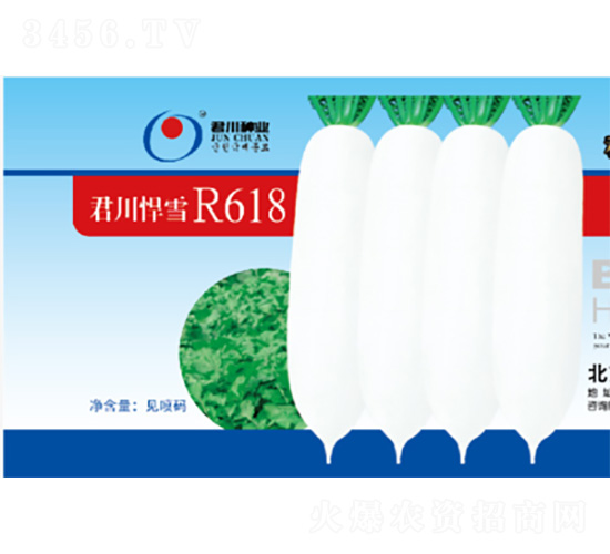 ������ѩR618-�}���N��-�����N�I(y��)