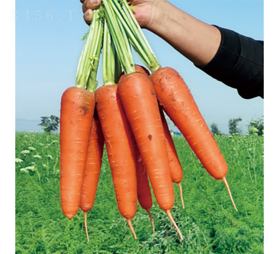 ����1̖-���}���N��-�����N�I(y��)