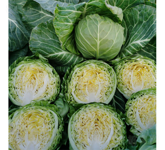 ����һ̖-���{�N��-�����N�I(y��)