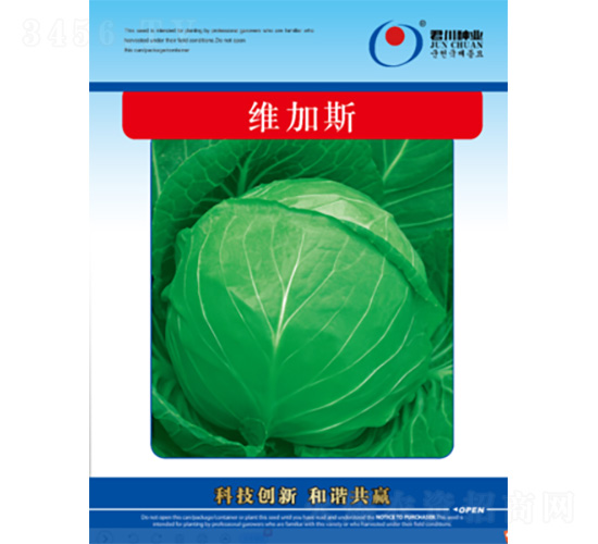 �S��˹-���{�N��-�����N�I(y��)