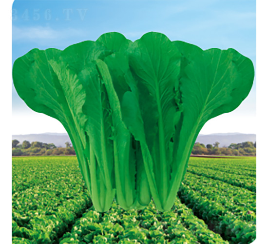 �G���_(d��)-��˷N��-�����N�I(y��)