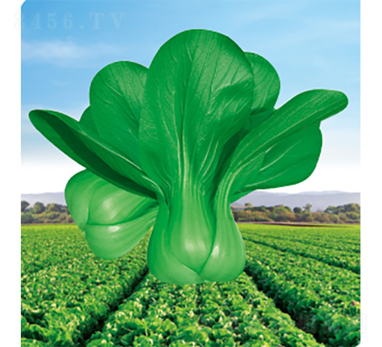 ��������-��˷N��-�����N�I(y��)