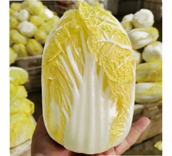 �����S��-�ײ˷N��-�����N�I(y��)