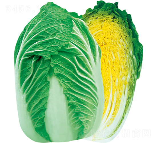 �����ɿ�-�ײ˷N��-�����N�I(y��)