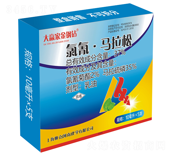 37%���衤�R��������-����