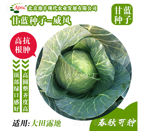 ���L(f��ng)166-���{(l��n)�N��-���S�r(n��ng)�I(y��)