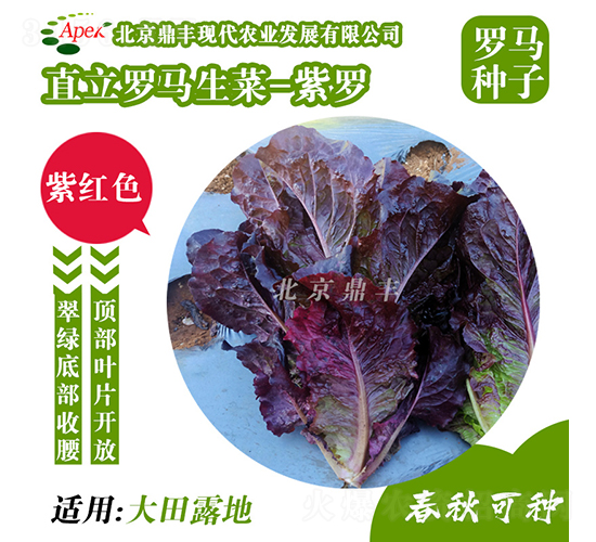 ���_-���˷N��-���S�r(n��ng)�I(y��)