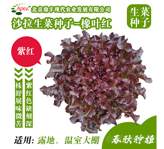 ���~�t-���˷N��-���S�r(n��ng)�I(y��)