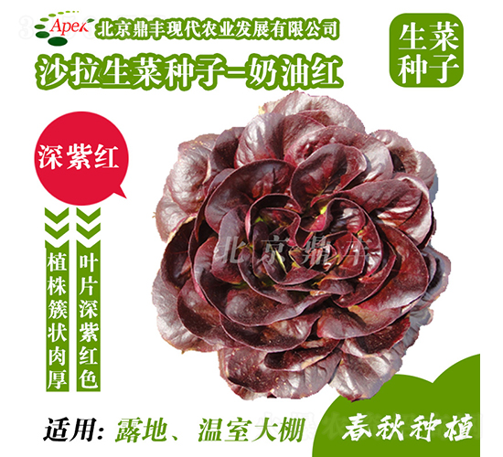 ���ͼt-���˷N��-���S�r(n��ng)�I(y��)