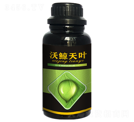 ���L���~