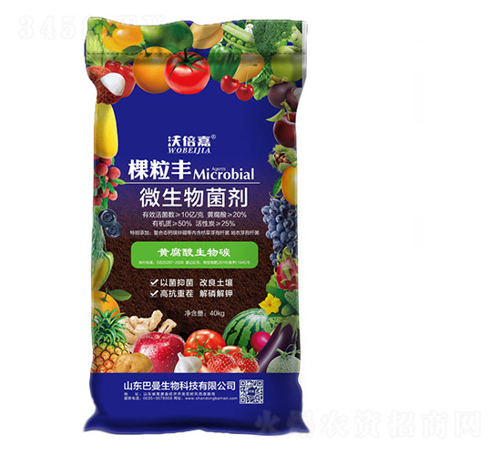 ΢�������-�w���S-��������