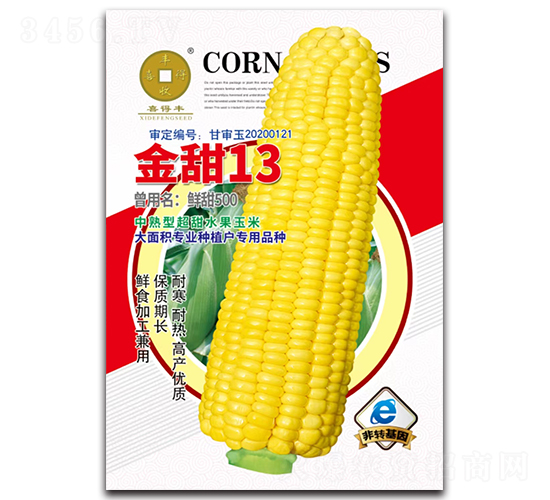 ����13-���׷N��-�A��N�I(y��)