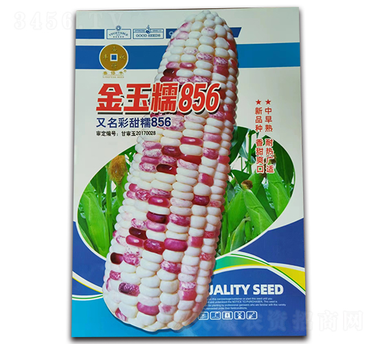 ����Ŵ856-���׷N��-�A��N�I(y��)