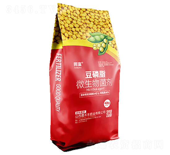 ����֬΢�������-ͬ��-�κ��S