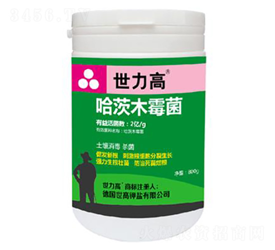 ����ľù��-����������