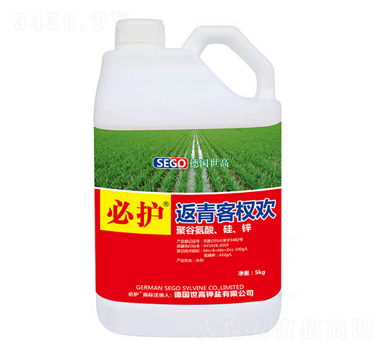 �����辚g-���o(h��)-����������